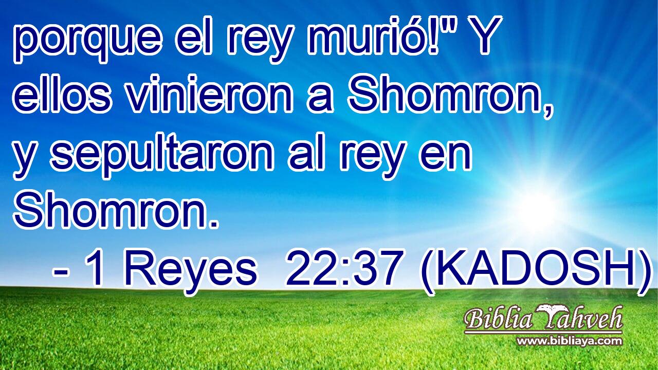  porque el rey murió!
