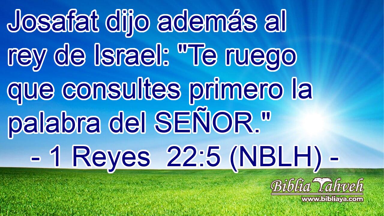  Josafat dijo además al rey de Israel: 