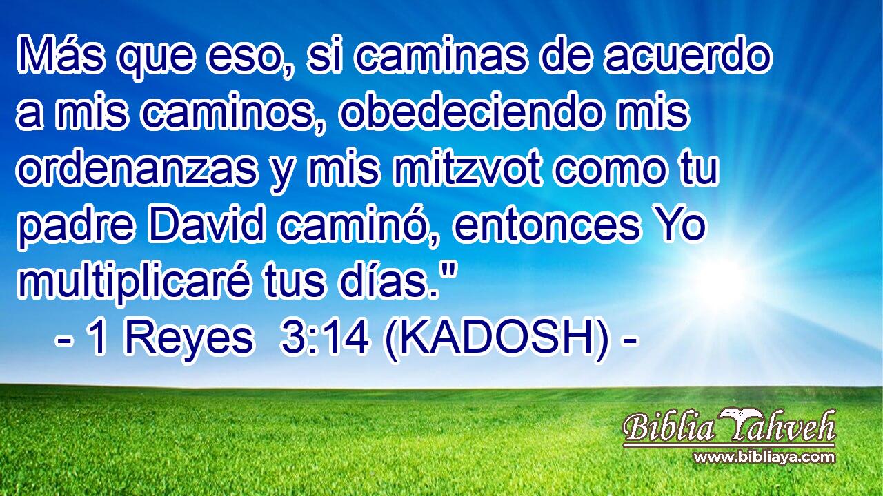  Más que eso, si caminas de acuerdo a mis caminos, obedeciendo mis ordenanzas y mis mitzvot como tu padre David caminó, entonces Yo multiplicaré tus días.