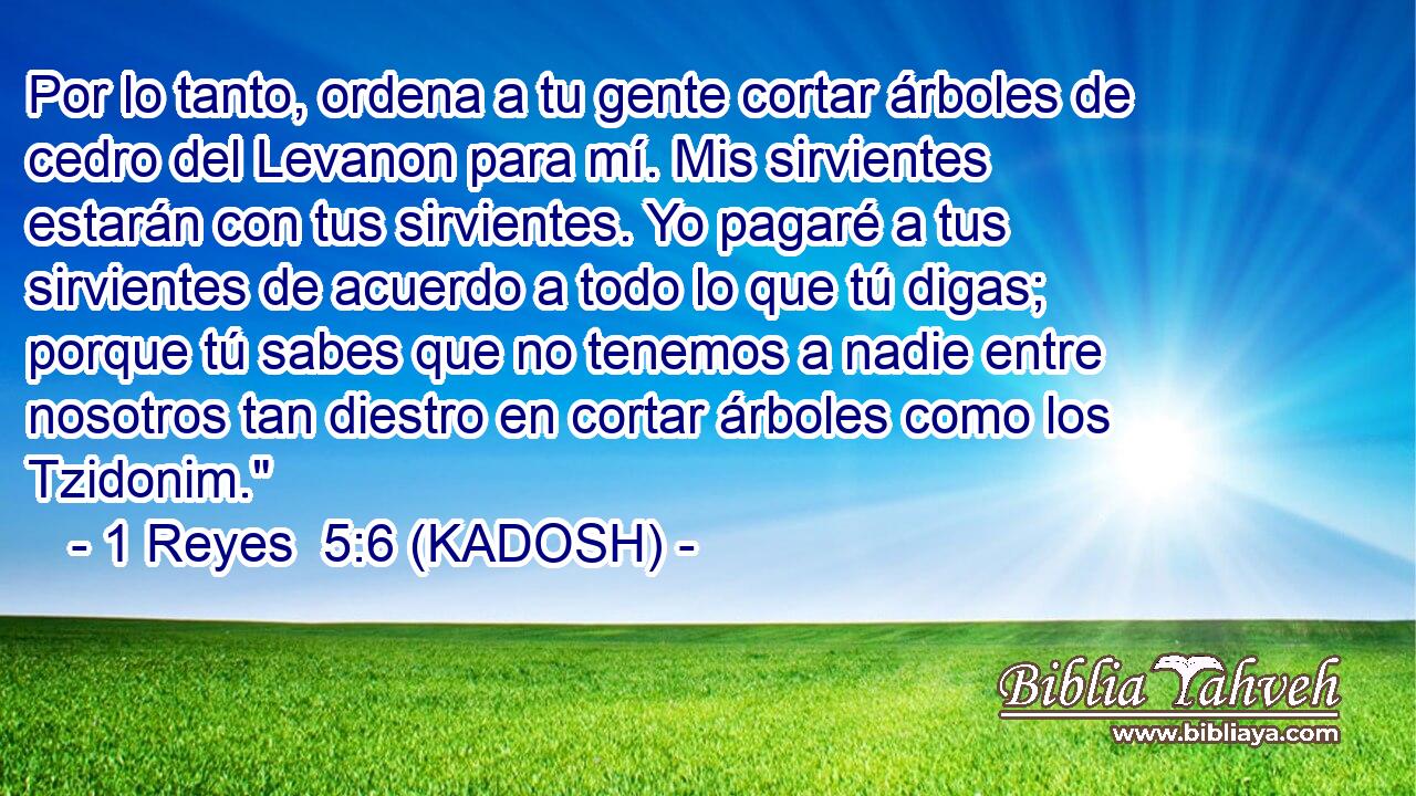  Por lo tanto, ordena a tu gente cortar árboles de cedro del Levanon para mí. Mis sirvientes estarán con tus sirvientes. Yo pagaré a tus sirvientes de acuerdo a todo lo que tú digas; porque tú sabes que no tenemos a nadie entre nosotros tan diestro en cortar árboles como los Tzidonim.
