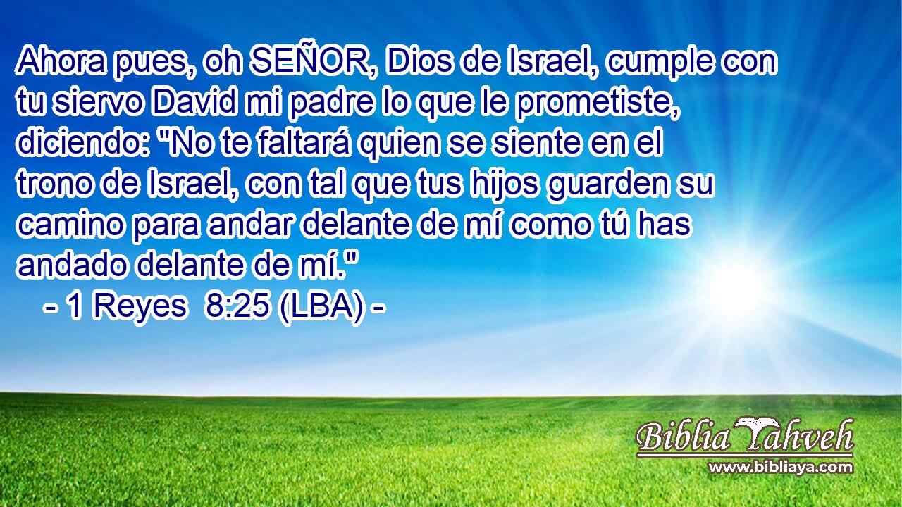 Ahora pues, oh SEÑOR, Dios de Israel, cumple con tu siervo David mi padre lo que le prometiste, diciendo: 