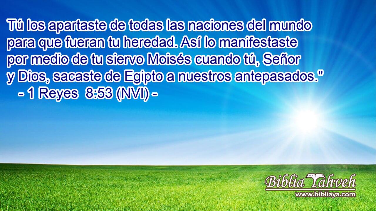  Tú los apartaste de todas las naciones del mundo para que fueran tu heredad. Así lo manifestaste por medio de tu siervo Moisés cuando tú, Señor y Dios, sacaste de Egipto a nuestros antepasados.