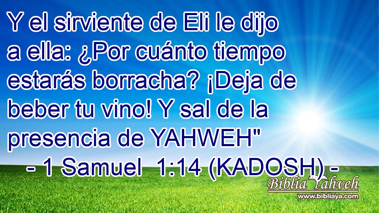  Y el sirviente de Eli le dijo a ella: ¿Por cuánto tiempo estarás borracha? ¡Deja de beber tu vino! Y sal de la presencia de YAHWEH