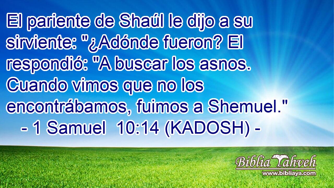  El pariente de Shaúl le dijo a su sirviente: 