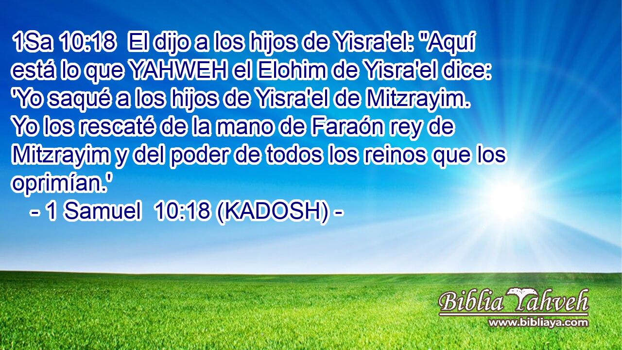  El dijo a los hijos de Yisra'el: 