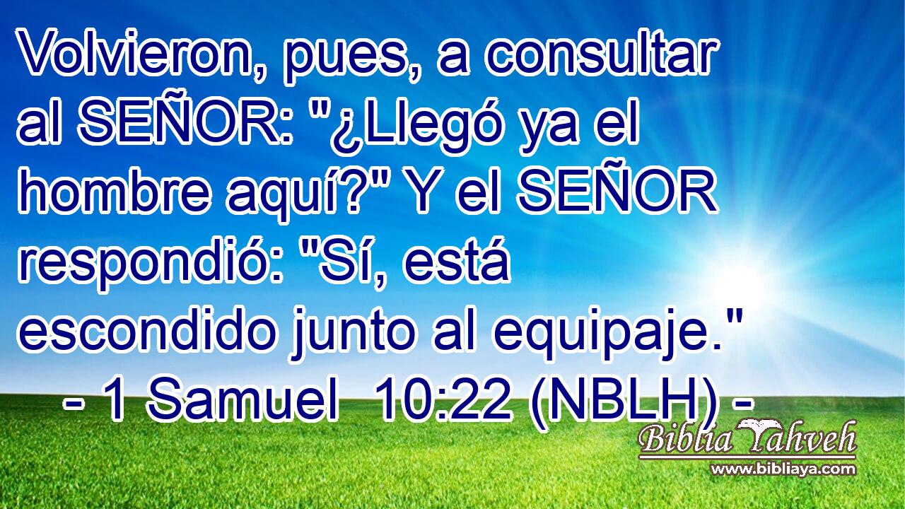  Volvieron, pues, a consultar al SEÑOR: 