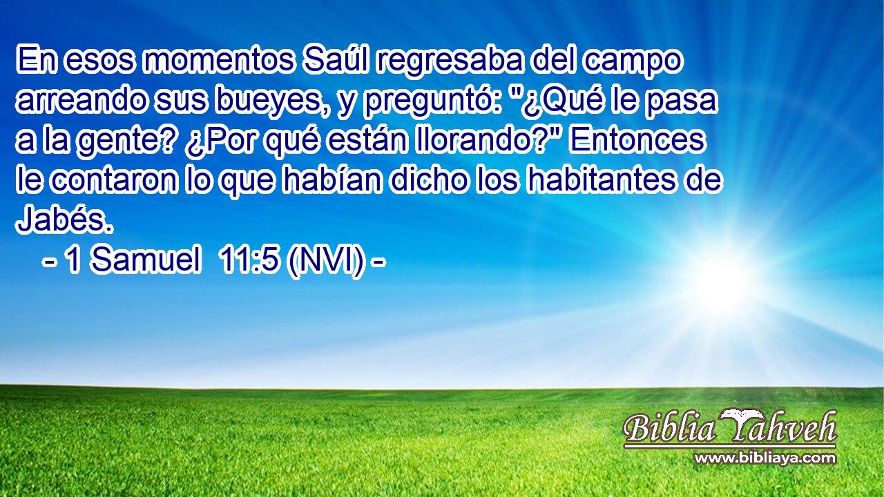  En esos momentos Saúl regresaba del campo arreando sus bueyes, y preguntó: 