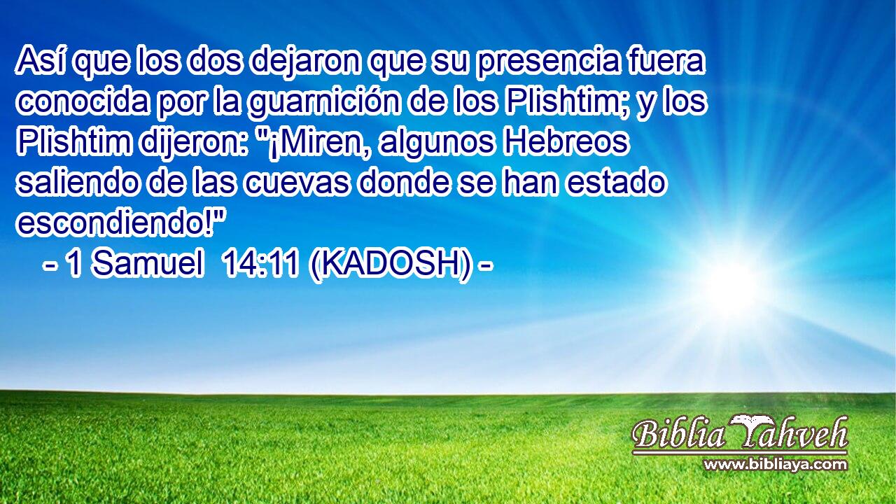  Así que los dos dejaron que su presencia fuera conocida por la guarnición de los Plishtim; y los Plishtim dijeron: 