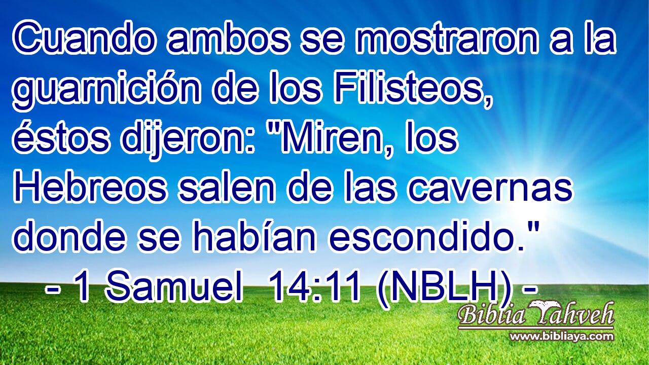  Cuando ambos se mostraron a la guarnición de los Filisteos, éstos dijeron: 