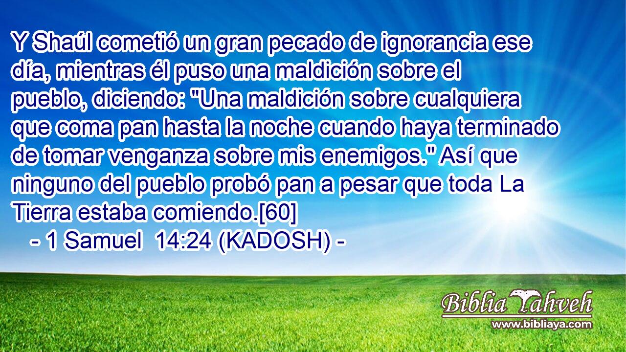  Y Shaúl cometió un gran pecado de ignorancia ese día, mientras él puso una maldición sobre el pueblo, diciendo: 