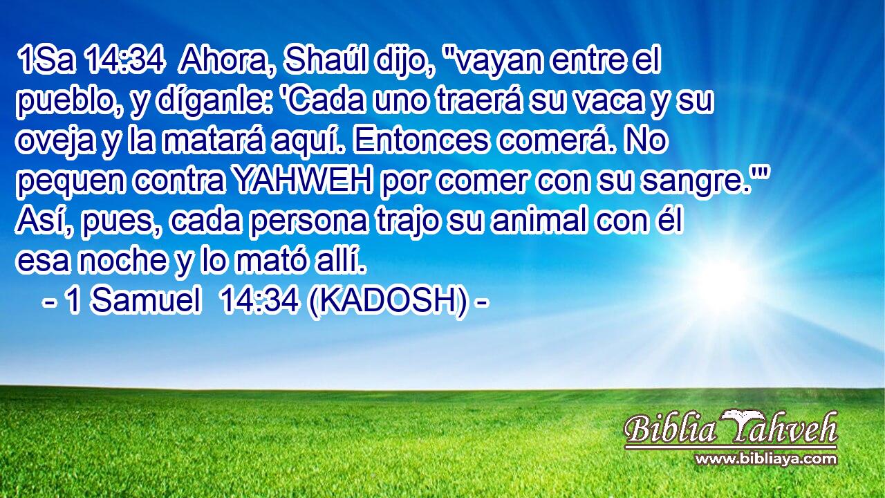  Ahora, Shaúl dijo, 