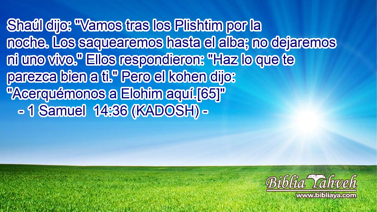  Shaúl dijo: 