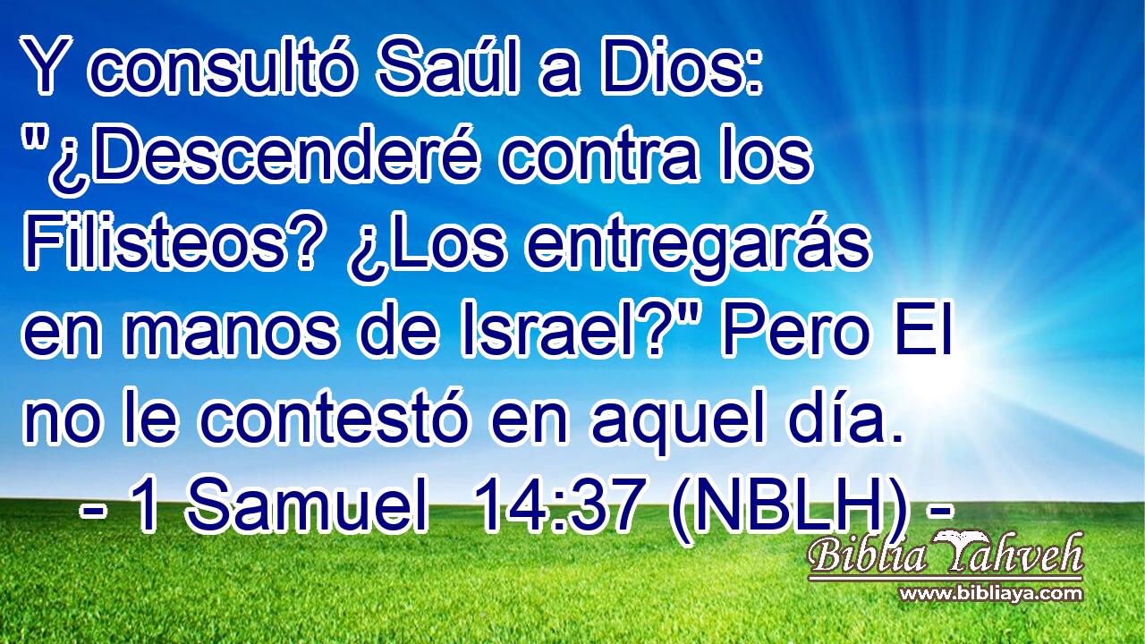  Y consultó Saúl a Dios: 