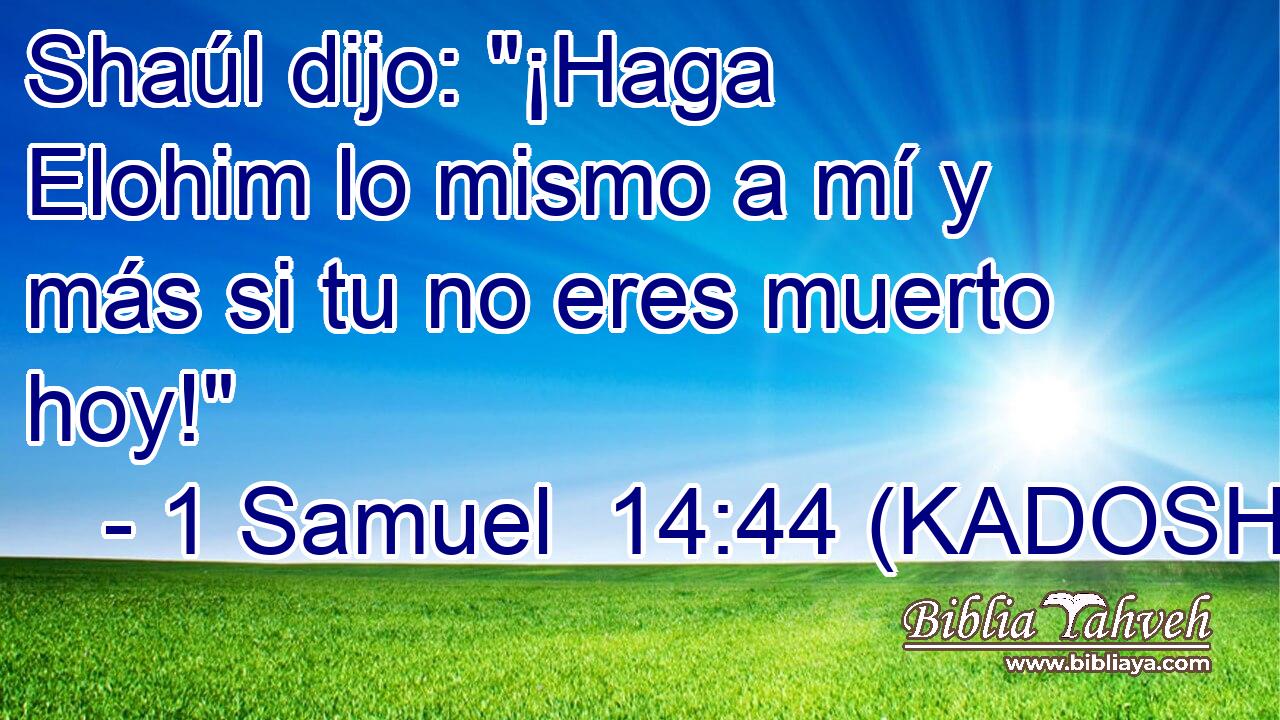  Shaúl dijo: 