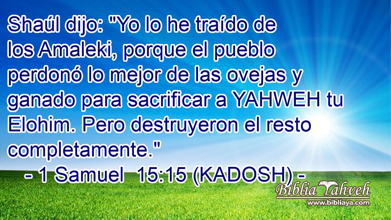  Shaúl dijo: 