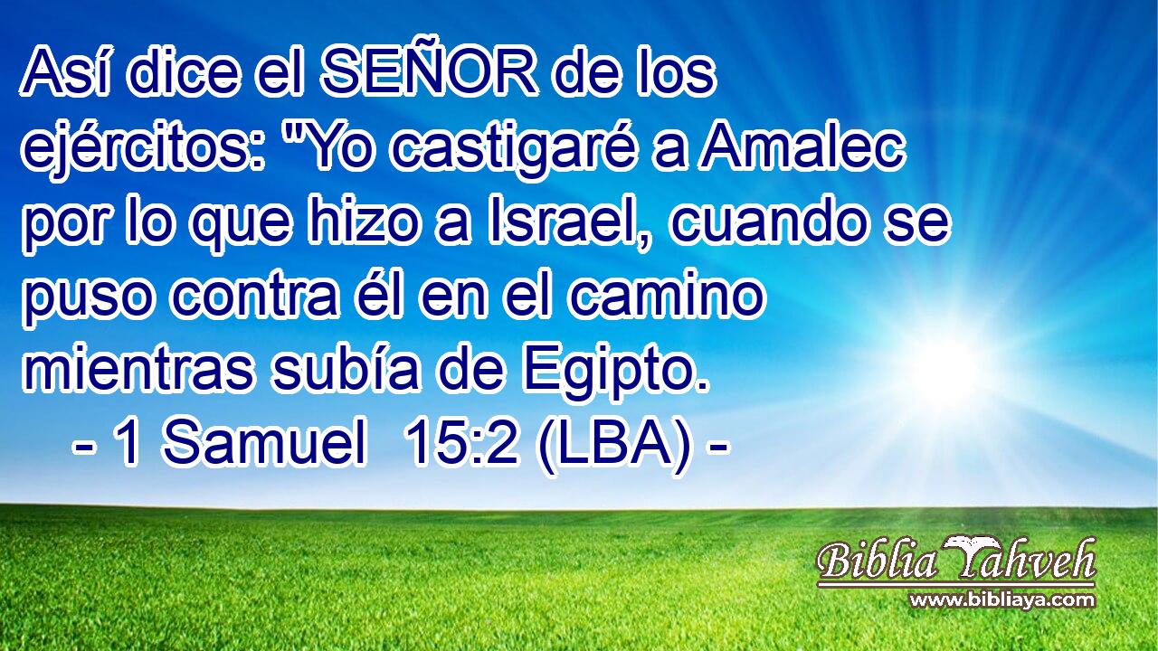 Así dice el SEÑOR de los ejércitos: 
