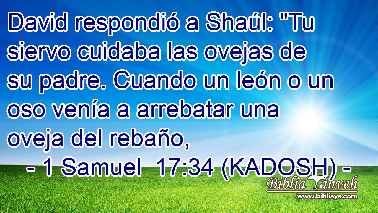  David respondió a Shaúl: 