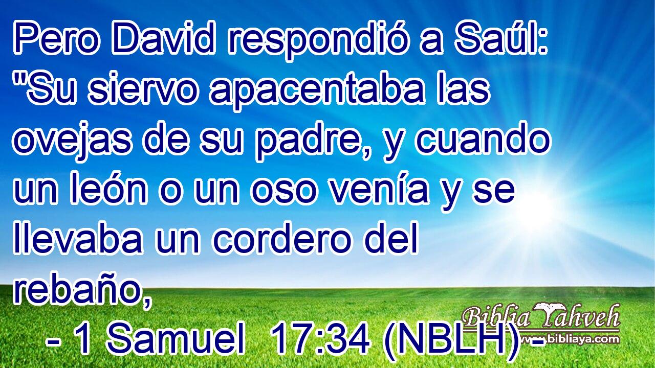  Pero David respondió a Saúl: 