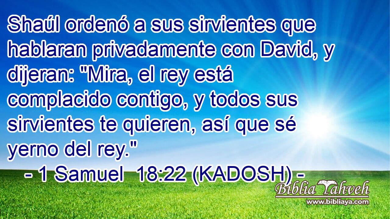  Shaúl ordenó a sus sirvientes que hablaran privadamente con David, y dijeran: 