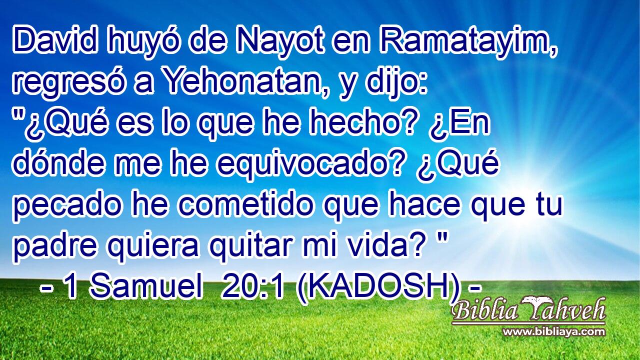 David huyó de Nayot en Ramatayim, regresó a Yehonatan, y dijo: 