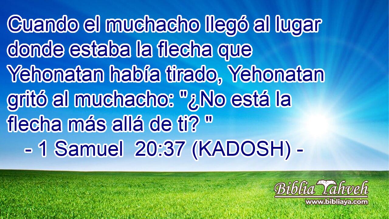  Cuando el muchacho llegó al lugar donde estaba la flecha que Yehonatan había tirado, Yehonatan gritó al muchacho: 