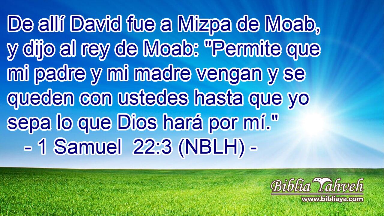  De allí David fue a Mizpa de Moab, y dijo al rey de Moab: 