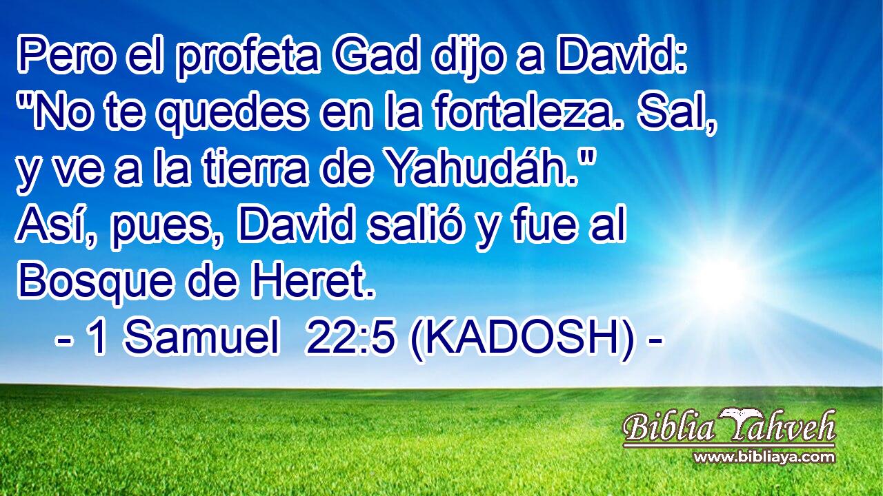  Pero el profeta Gad dijo a David: 