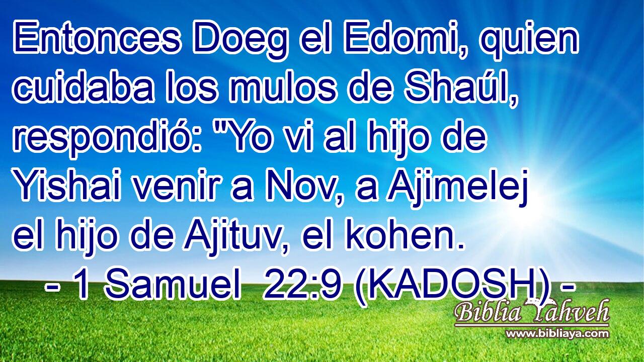  Entonces Doeg el Edomi, quien cuidaba los mulos de Shaúl, respondió: 