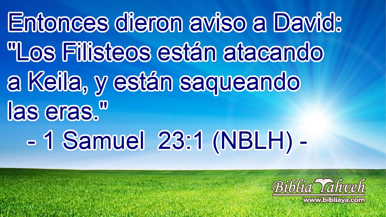  Entonces dieron aviso a David: 