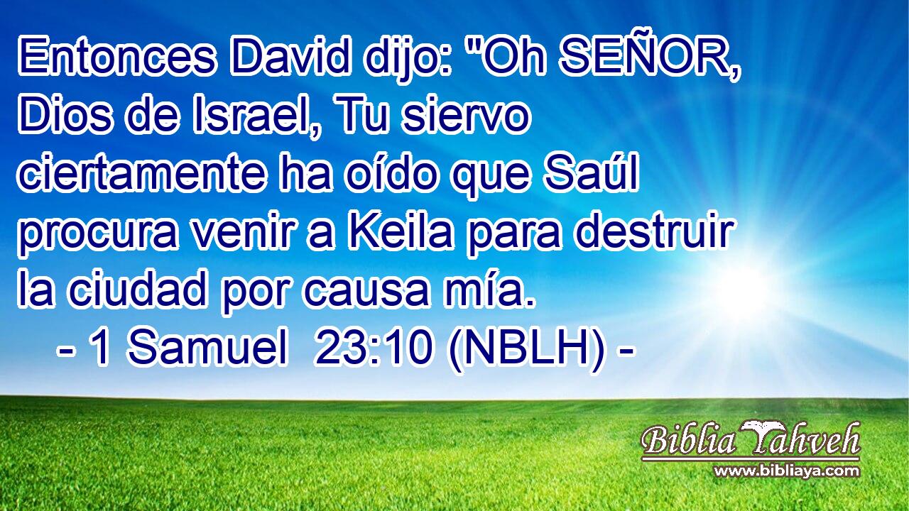  Entonces David dijo: 