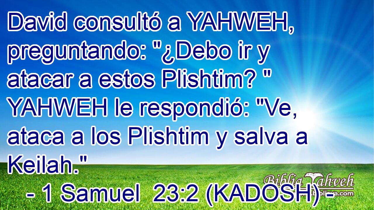  David consultó a YAHWEH, preguntando: 