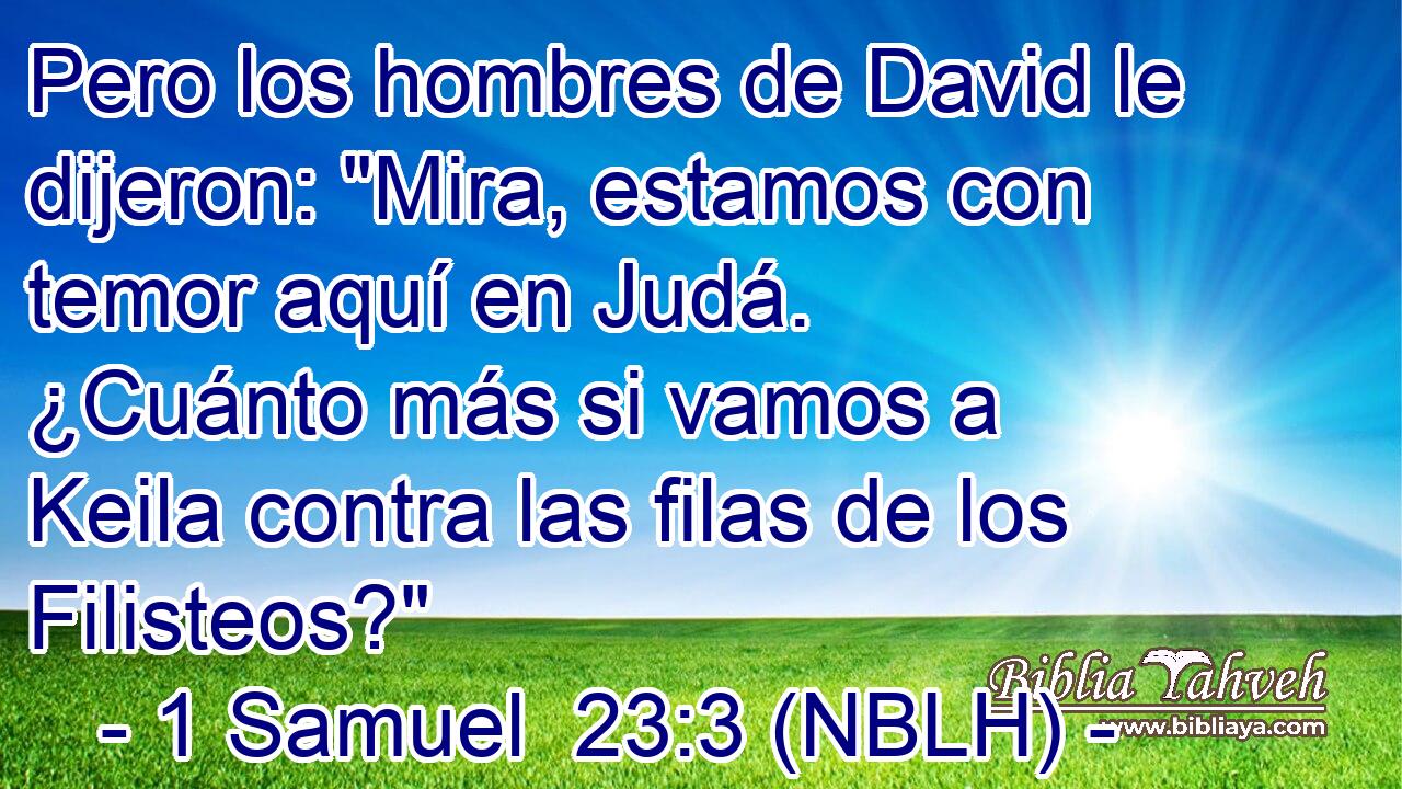  Pero los hombres de David le dijeron: 