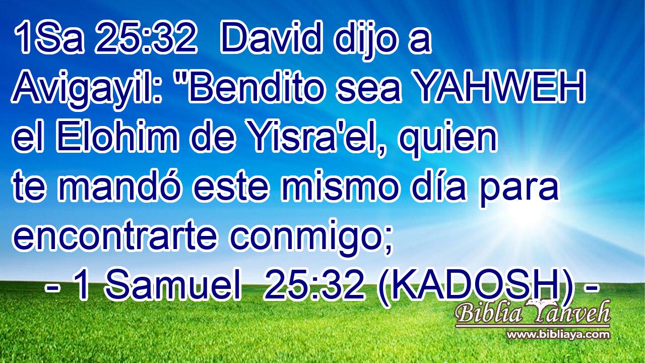  David dijo a Avigayil: 