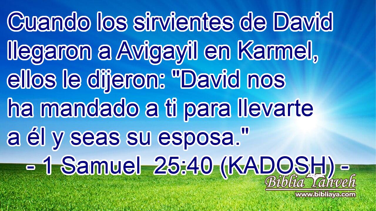  Cuando los sirvientes de David llegaron a Avigayil en Karmel, ellos le dijeron: 