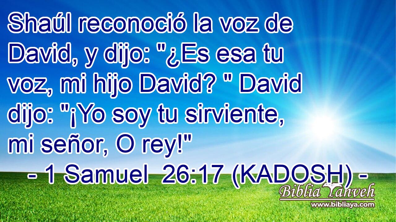  Shaúl reconoció la voz de David, y dijo: 