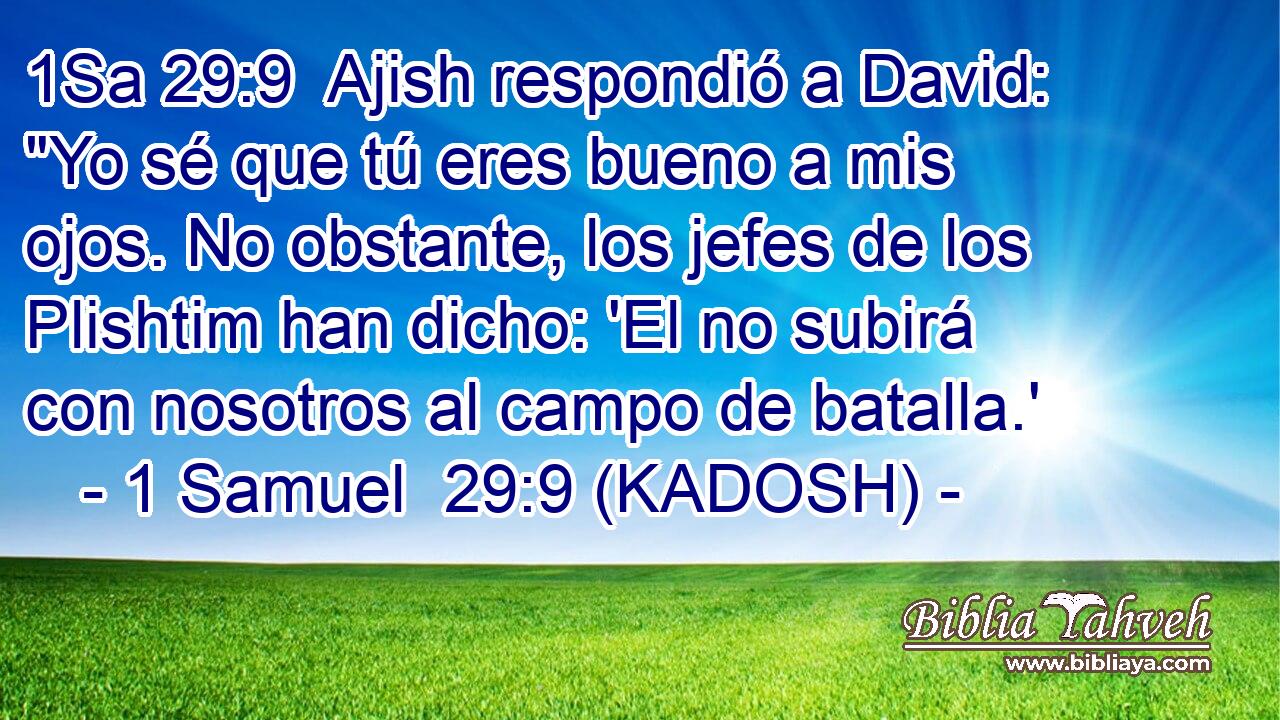  Ajish respondió a David: 