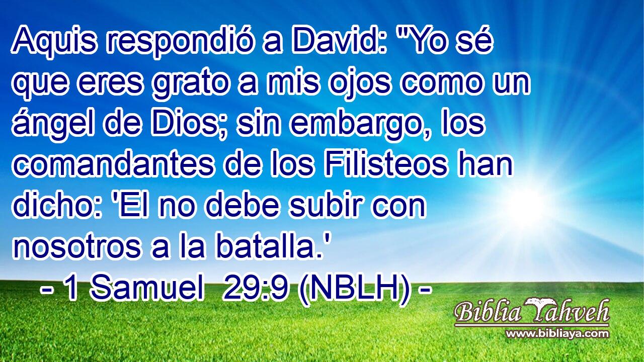  Aquis respondió a David: 