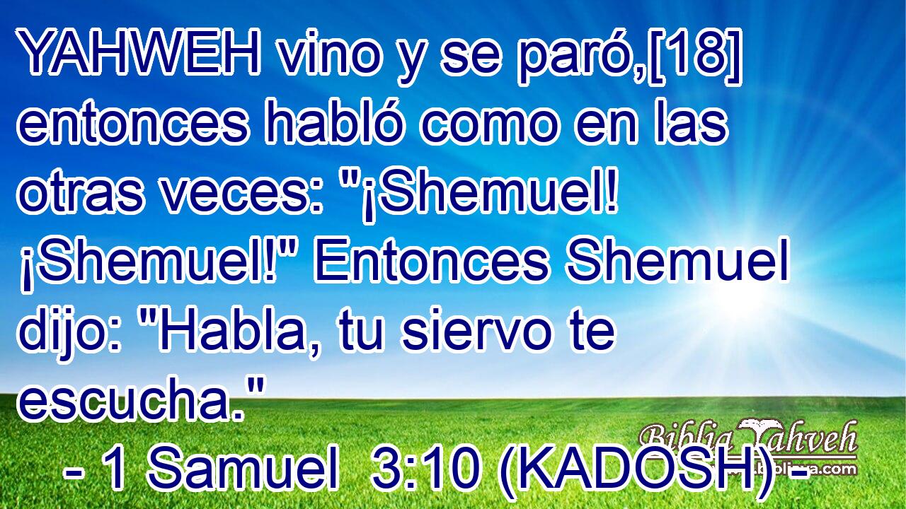  YAHWEH vino y se paró,[18] entonces habló como en las otras veces: 