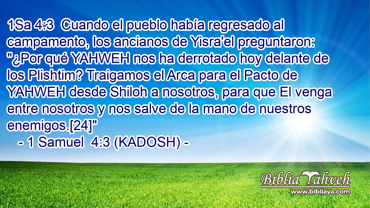  Cuando el pueblo había regresado al campamento, los ancianos de Yisra'el preguntaron: 