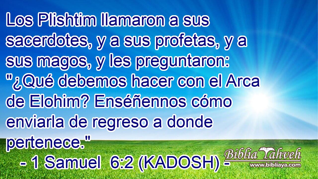  Los Plishtim llamaron a sus sacerdotes, y a sus profetas, y a sus magos, y les preguntaron: 