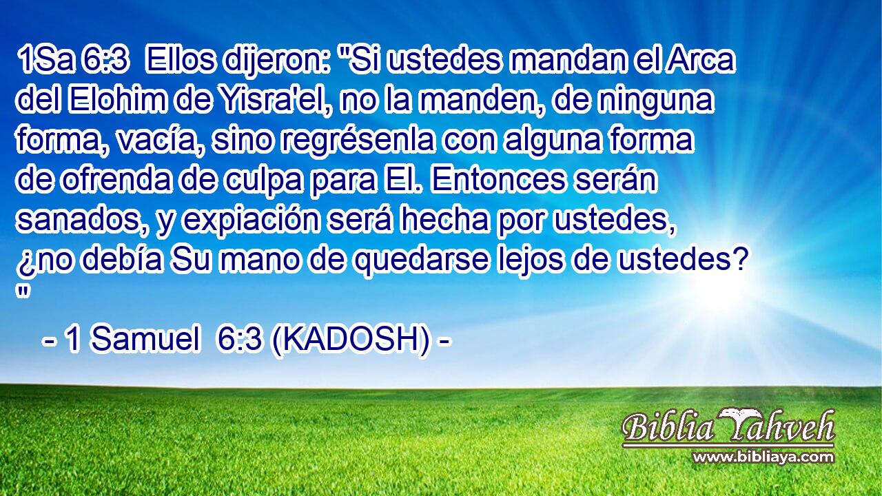  Ellos dijeron: 