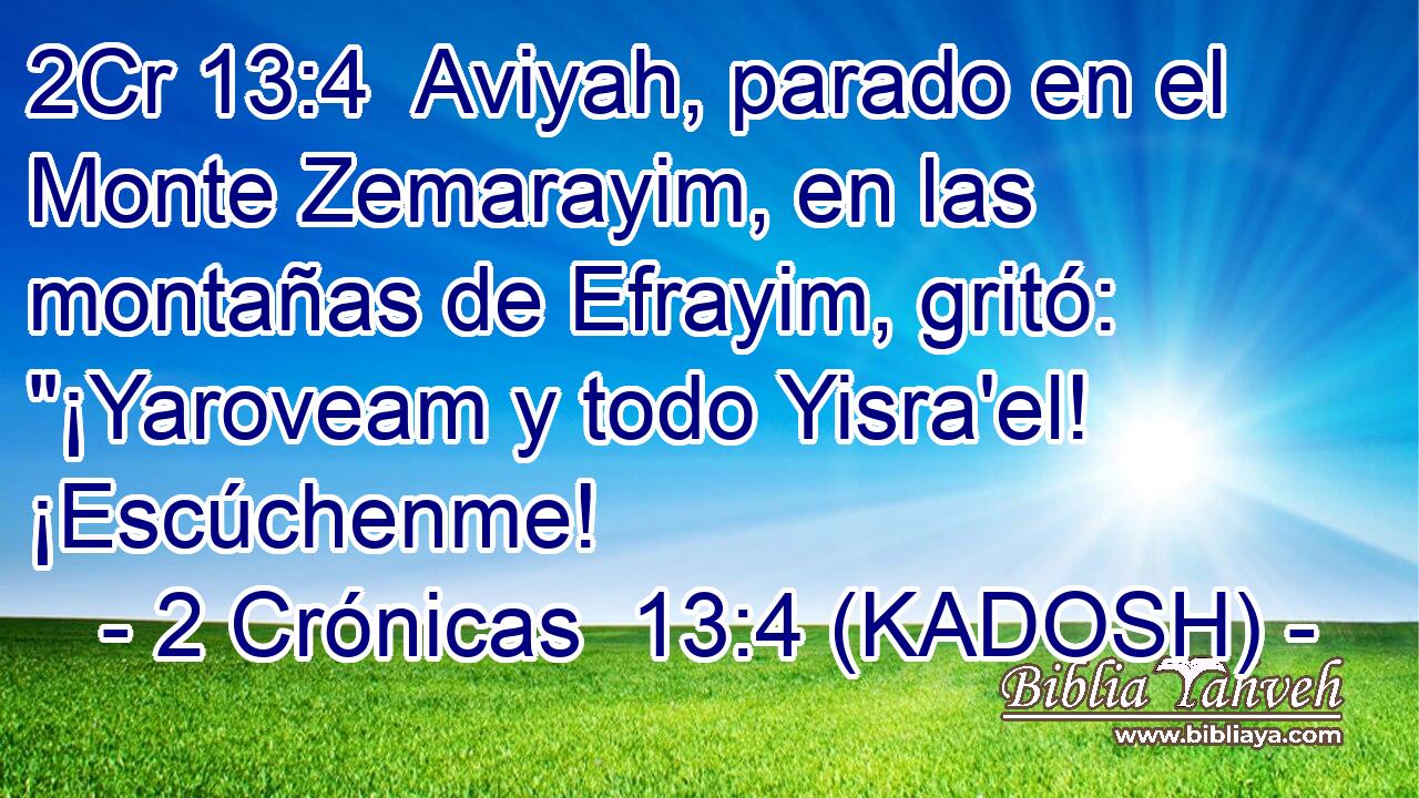  Aviyah, parado en el Monte Zemarayim, en las montañas de Efrayim, gritó: 