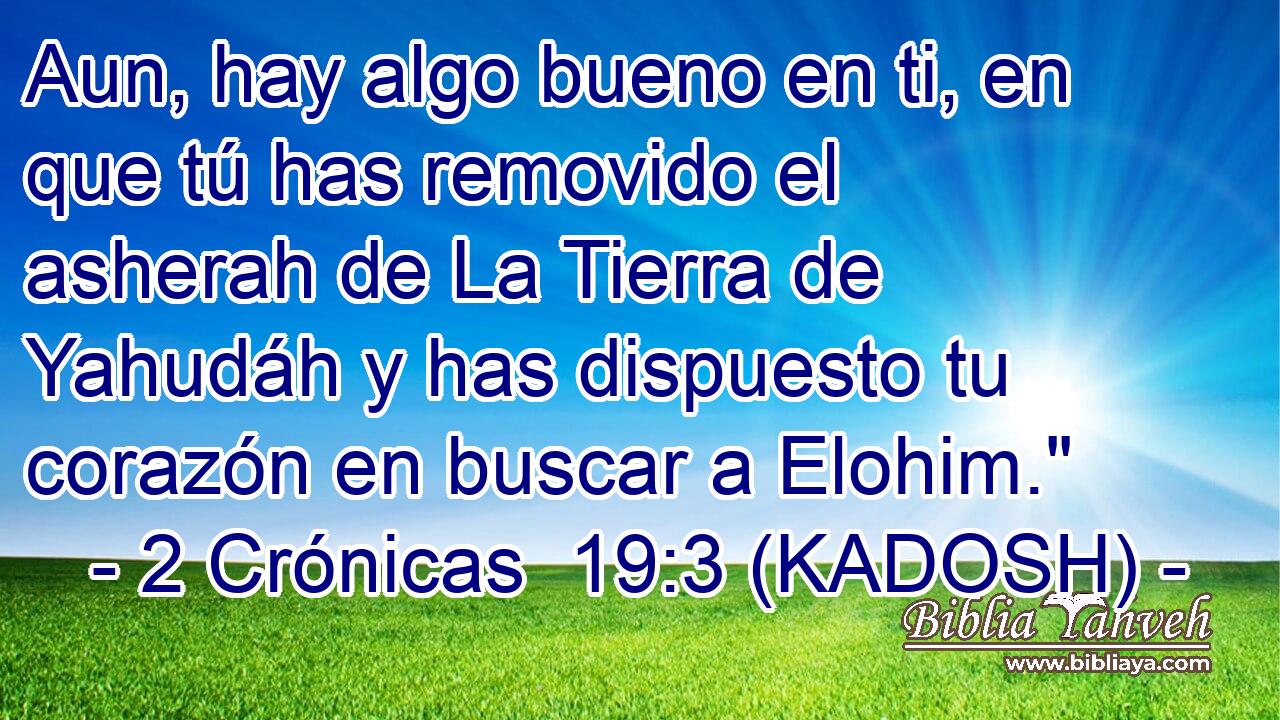  Aun, hay algo bueno en ti, en que tú has removido el asherah de La Tierra de Yahudáh y has dispuesto tu corazón en buscar a Elohim.
