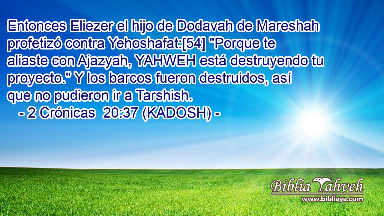  Entonces Eliezer el hijo de Dodavah de Mareshah profetizó contra Yehoshafat:[54] 