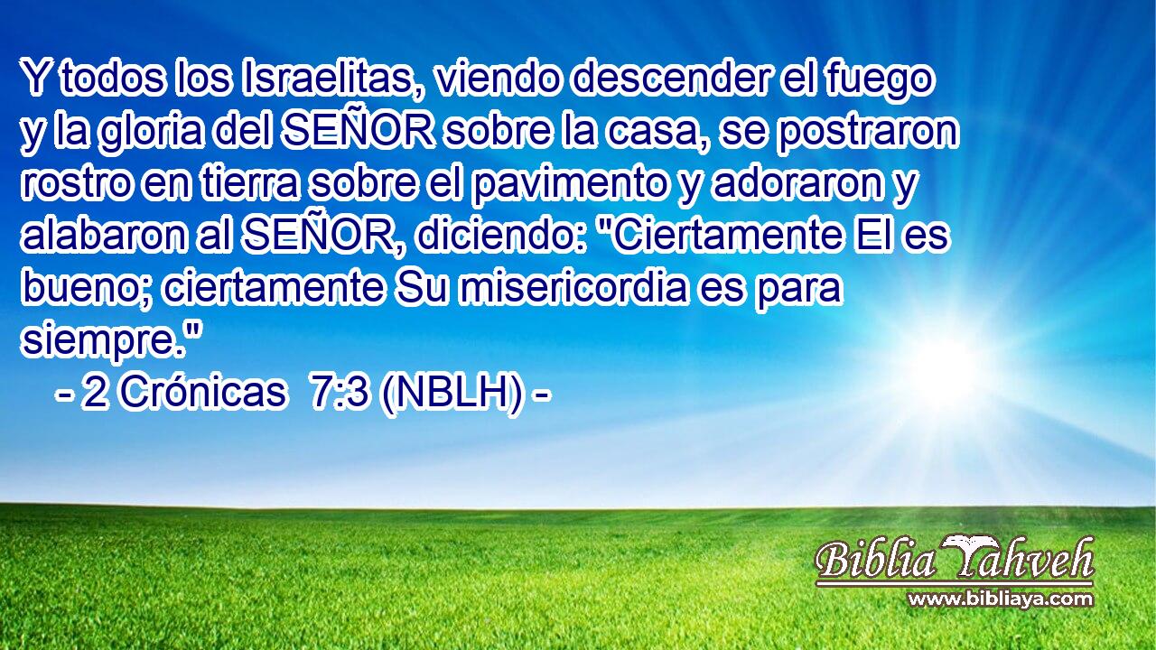  Y todos los Israelitas, viendo descender el fuego y la gloria del SEÑOR sobre la casa, se postraron rostro en tierra sobre el pavimento y adoraron y alabaron al SEÑOR, diciendo: 