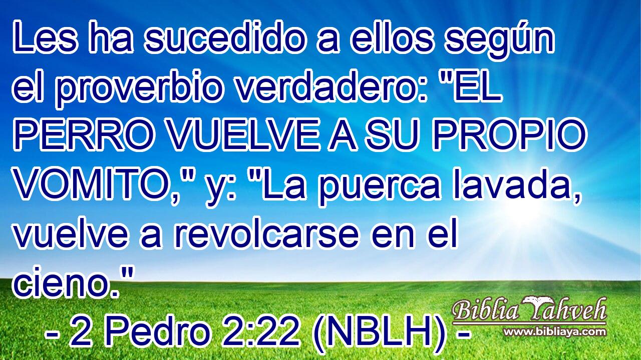  Les ha sucedido a ellos según el proverbio verdadero: 