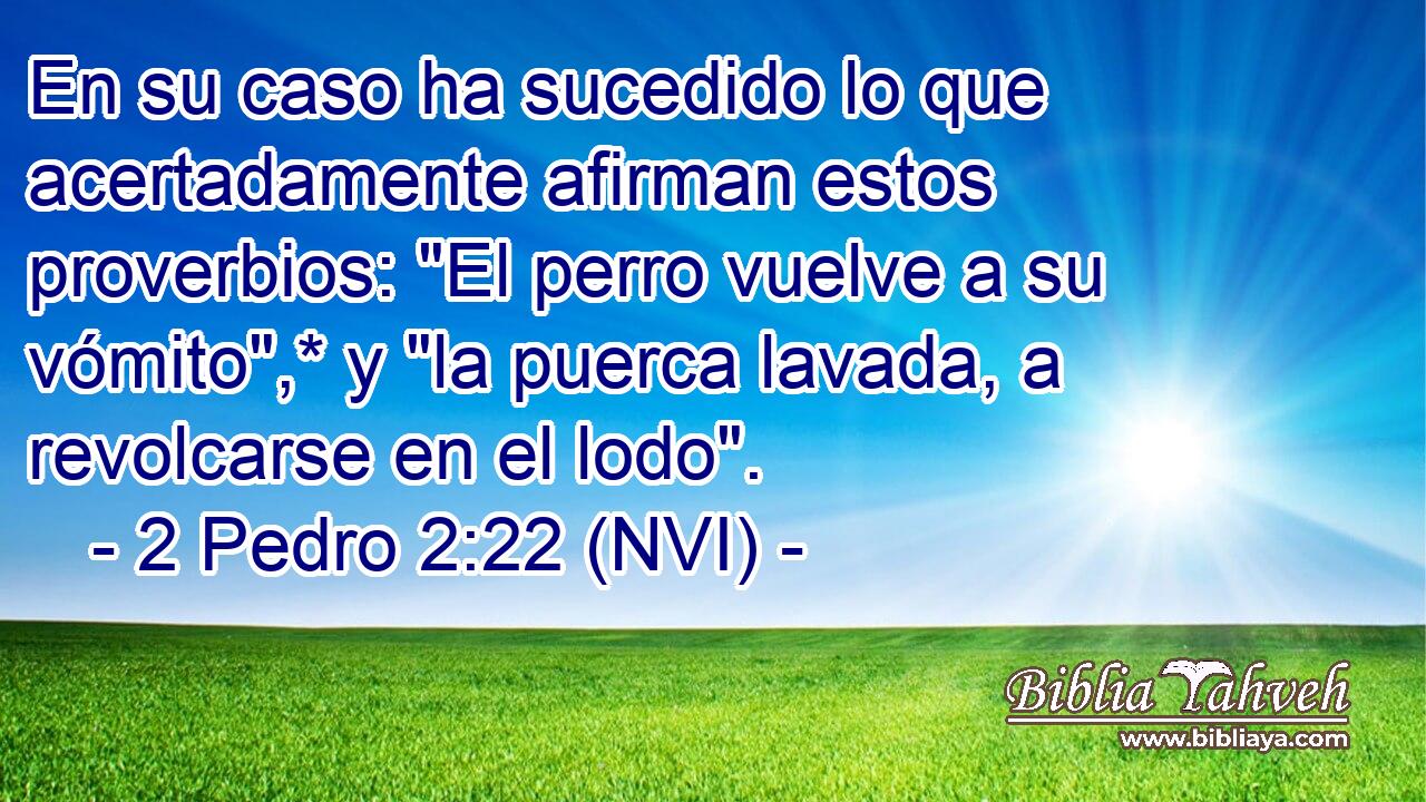  En su caso ha sucedido lo que acertadamente afirman estos proverbios: 