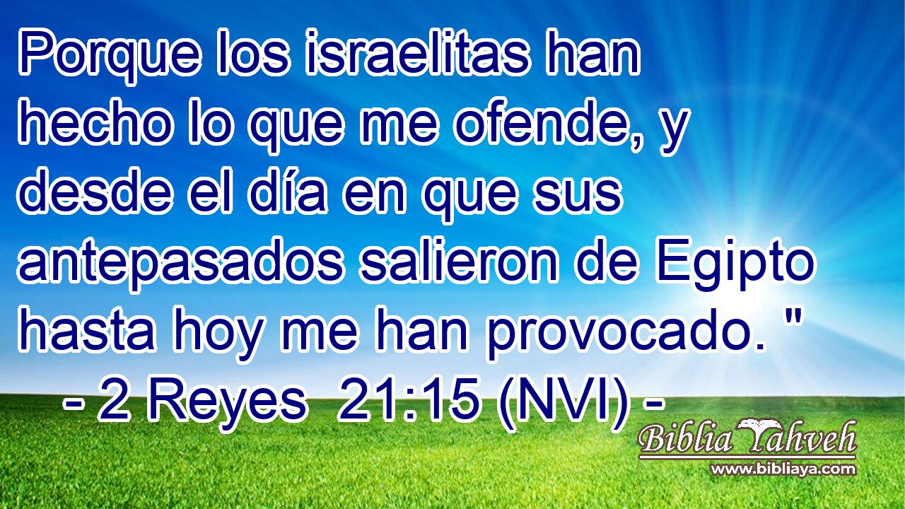  Porque los israelitas han hecho lo que me ofende, y desde el día en que sus antepasados salieron de Egipto hasta hoy me han provocado. 