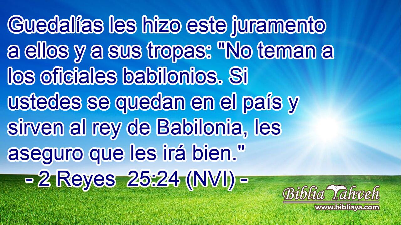  Guedalías les hizo este juramento a ellos y a sus tropas: 
