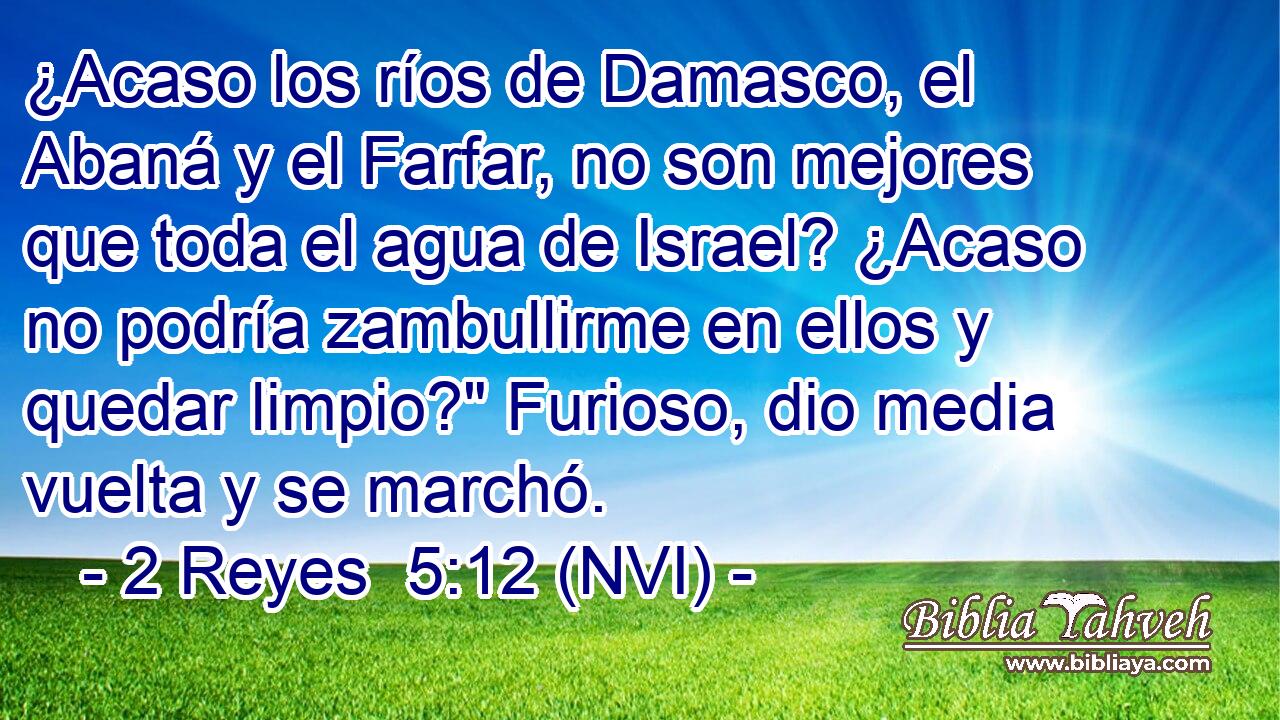  ¿Acaso los ríos de Damasco, el Abaná y el Farfar, no son mejores que toda el agua de Israel? ¿Acaso no podría zambullirme en ellos y quedar limpio?